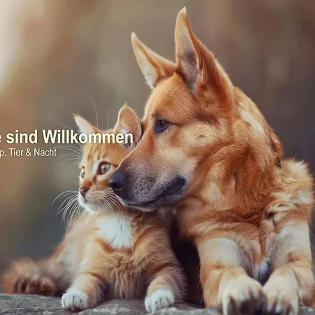 Hotel Ferien Cottbus Kolkwitz (Spree-Neisse)